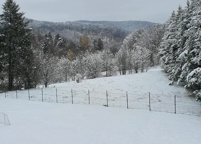 Apartmán Levendula *